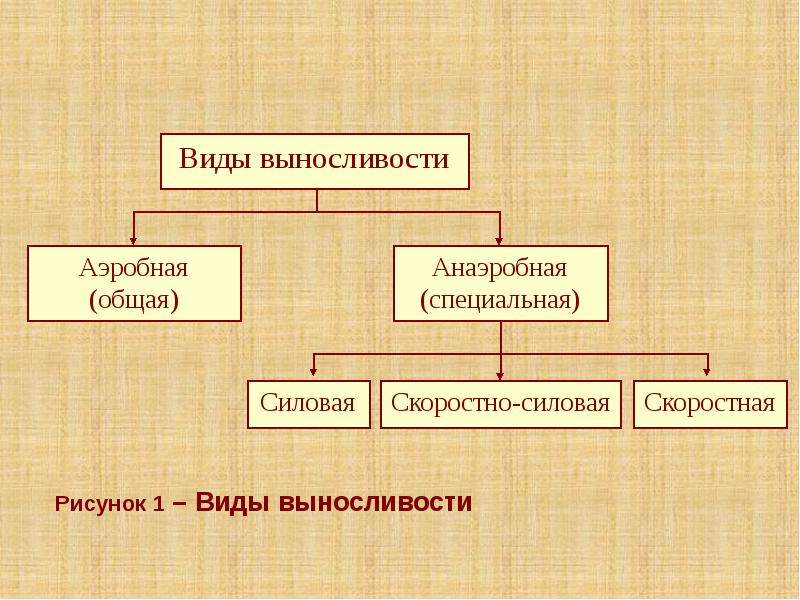 Рисунок 1 – Виды выносливости