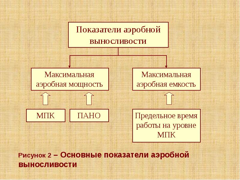 Рисунок 2 – Основные показатели аэробной выносливости