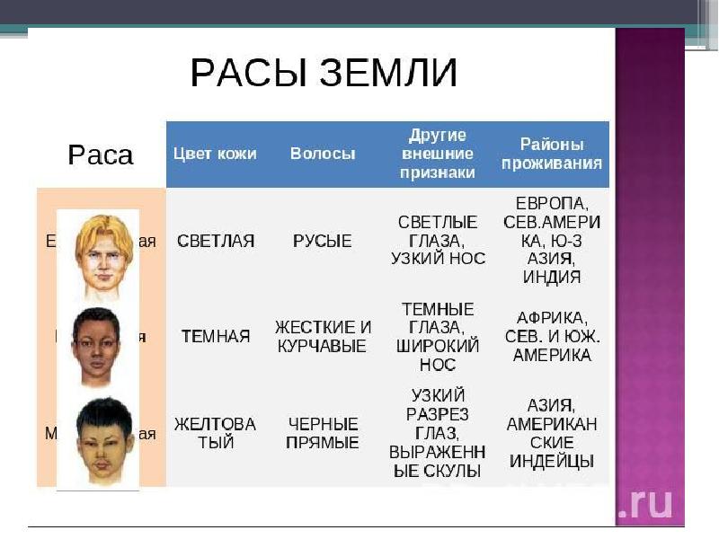 Расы и народы презентация 6 класс