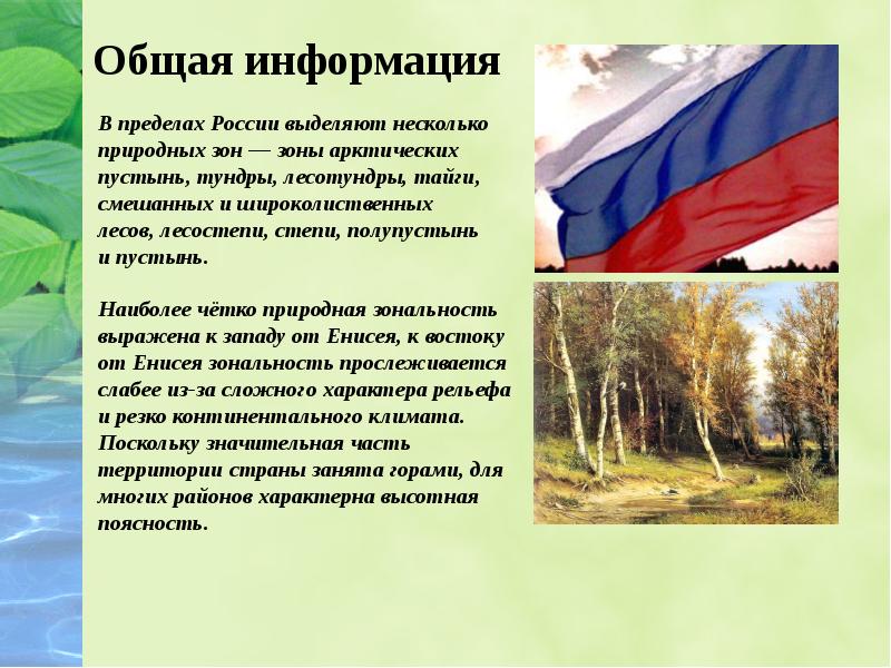 Природные зоны польши. Какие растения встречаются на территории природной зоны Енисея.