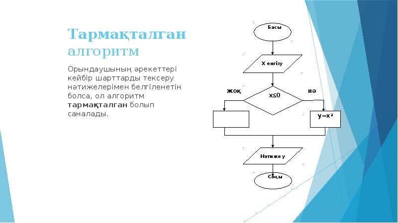 Тармақталған алгоритмдерді программалау презентация