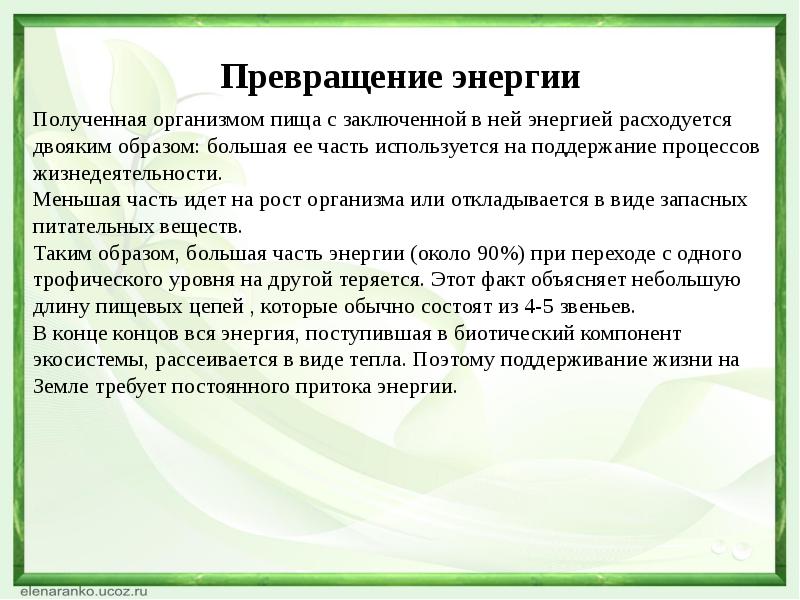 Потоки вещества и энергии в экосистеме презентация