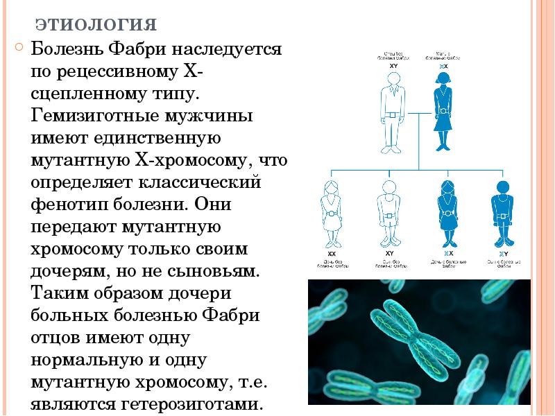ЭТИОЛОГИЯ  Болезнь Фабри наследуется по рецессивному X-сцепленному типу. Гемизиготные мужчины