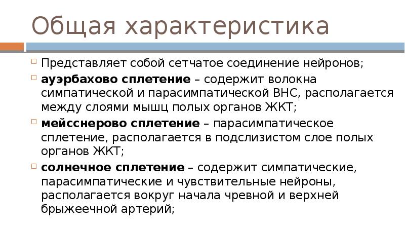 Ауэрбахово сплетение