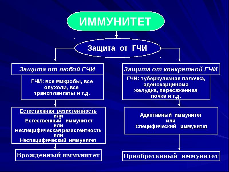 Презентация на тему иммунитет