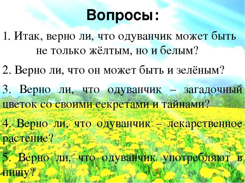 Луг сравнения. Вопросы про одуванчик. Стихотворение золотой луг. О. Высотская 