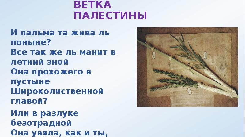 Скажи мне ветка палестины где ты росла