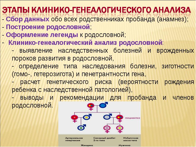 Методы медицинской генетики презентация