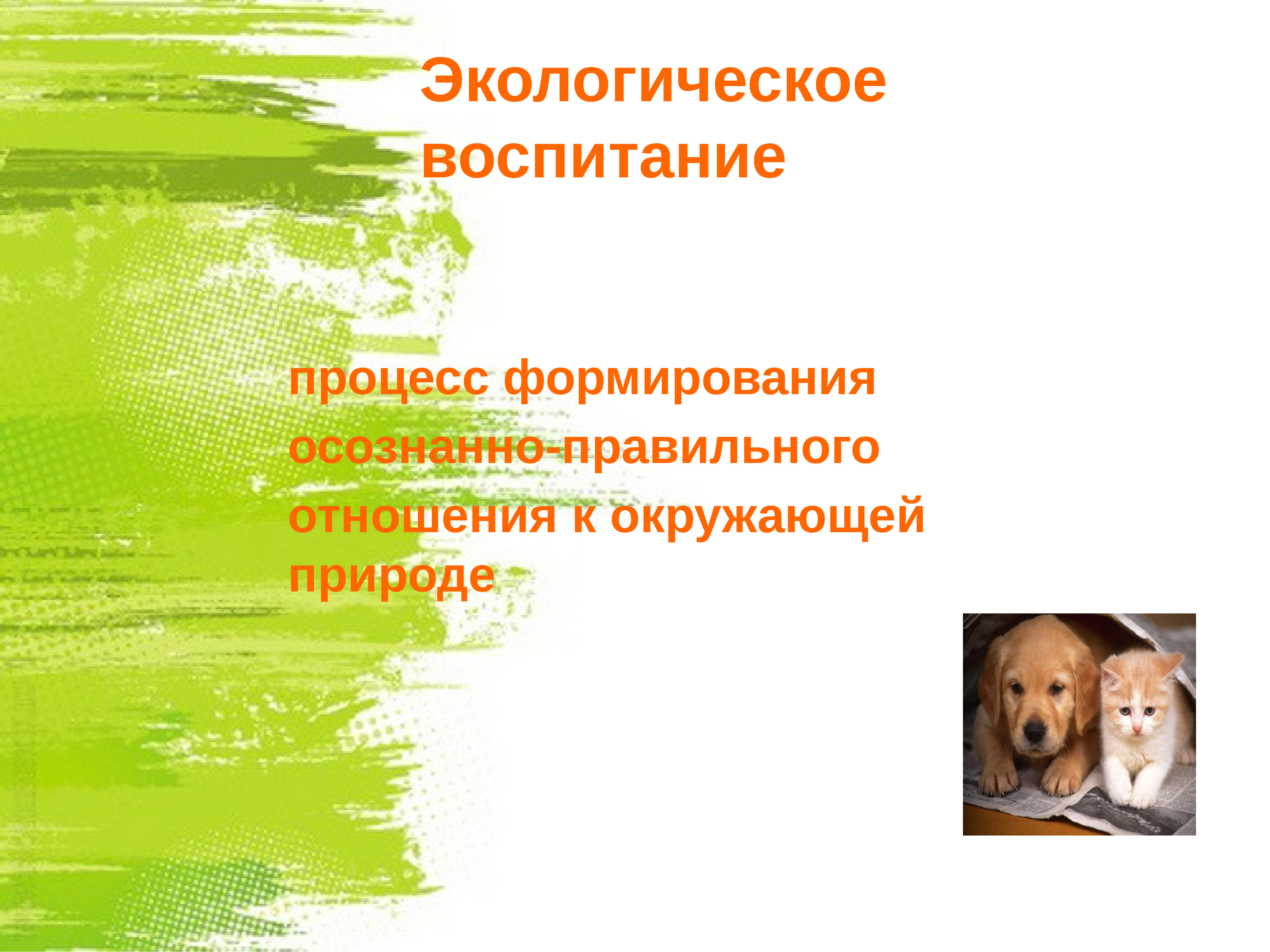 Экологическая проблема дошкольников. Экологическое образование животные. Экологическое образование проблемы и перспективы. Экологические проблемы для дошкольников. Презентация на тему экологическое образование для дошкольников.