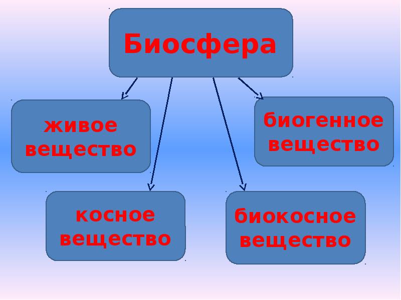 Презентация на тему структура биосферы 9 класс. Синоним к слову Биосфера. Биосфера какая прилагательные. Биосфера существительное прилагательное. Структура биосферы 9 класс биология