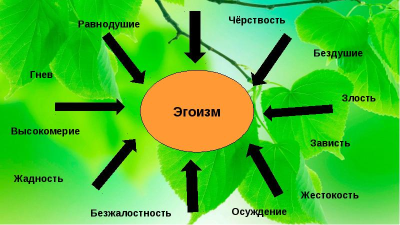 черствость