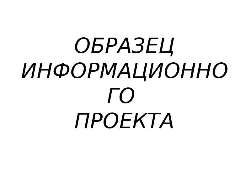 Продуктом информационного проекта может быть