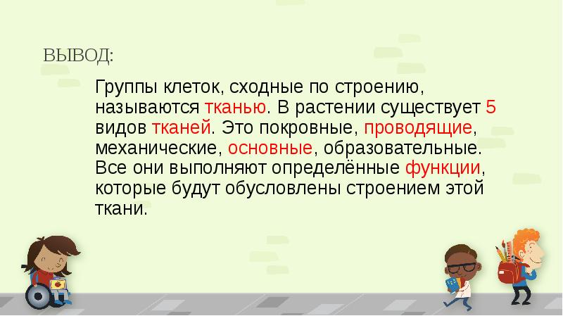 Вывод о строении. Вывод о растительной ткани. Ткани растений вывод. Ткани вывод. Вывод по теме ткани растений.