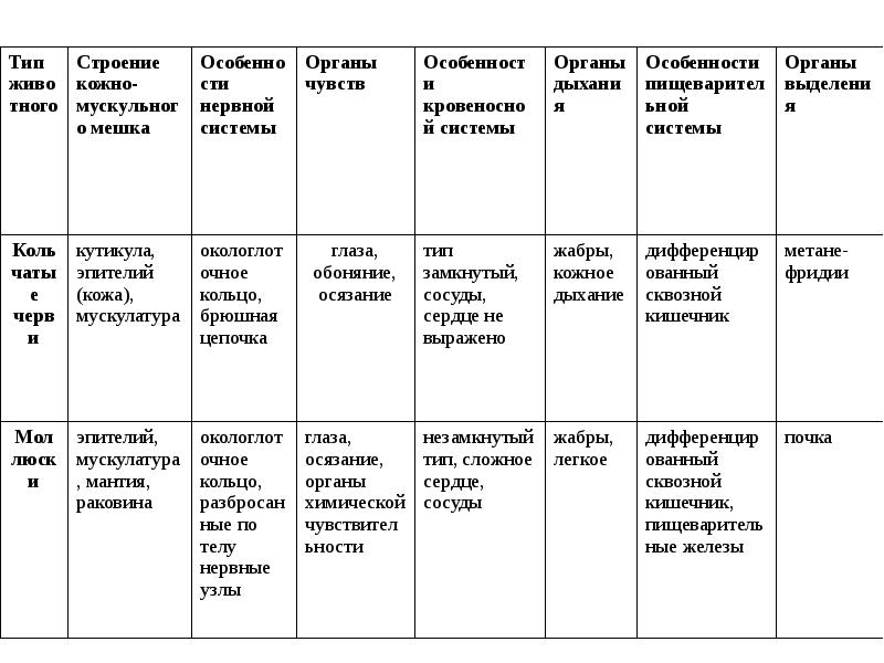 Характеристика класса моллюсков биология 7 класс таблица. Биология 7 класс класс моллюсков таблица. Тип моллюски таблица 7 класс биология по классам. Таблица моллюски 7 класс биология. Таблица Тип моллюски 7 класс биология.