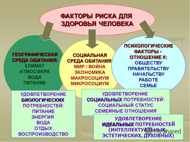 Презентация 10 класс экологические основы безопасности жизнедеятельности человека в среде обитания