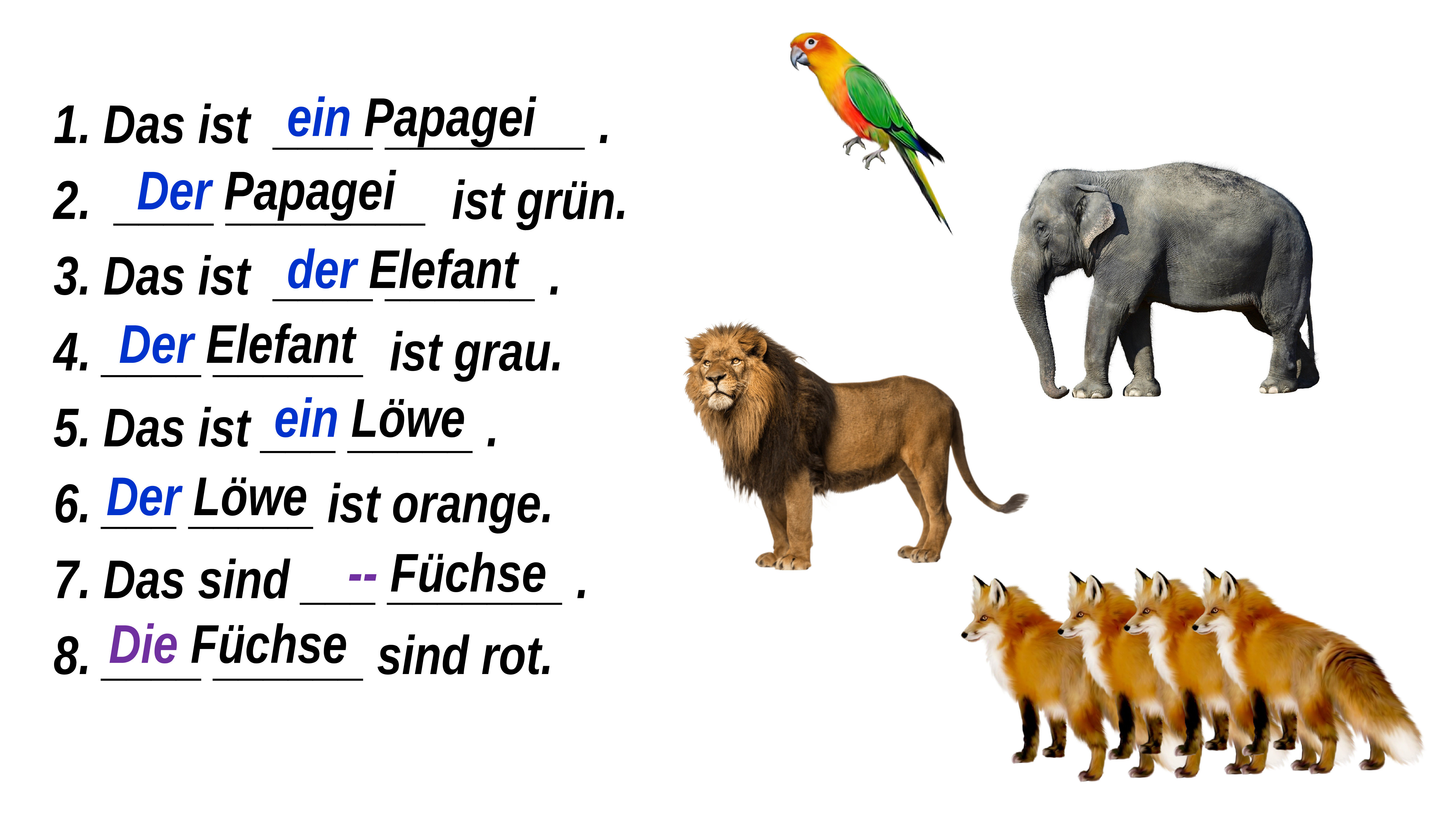 Ich habe einen kleinen papagei. Животные на немецком задания. Задания по немецкому языку die Tiere. Животные на немецком 5 класс. Упражнения на немецком по теме животные.