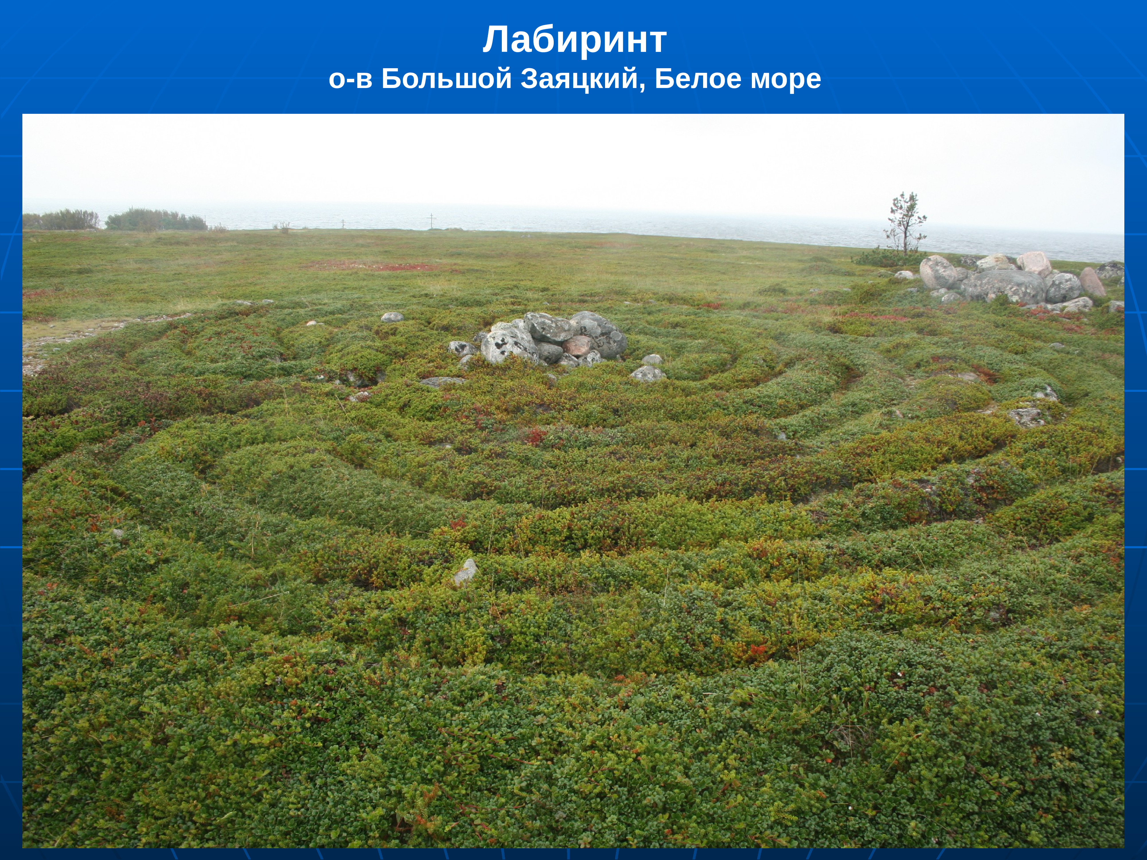 Лабиринт заяцкого. Большой Заяцкий. Большой Заяцкий остров карта. Лабиринты Заяцкого острова ОГЭ ответы.