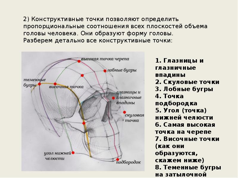 Голова разбор