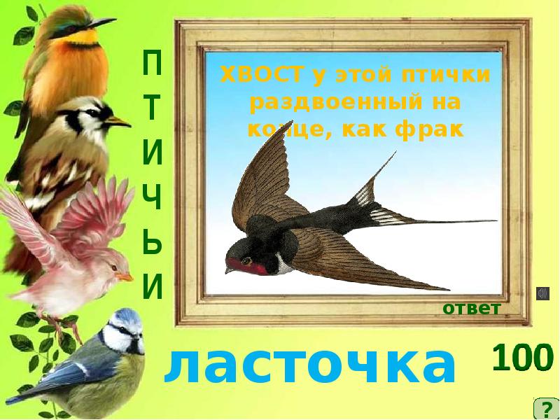 Эта птица знакома всем. Хвост у этой птички раздвоенный на конце как. У каких птиц раздвоенный хвост кроме ласточки. Ах эти птицы надпись. Какая птица круглый год ходит во фраке.