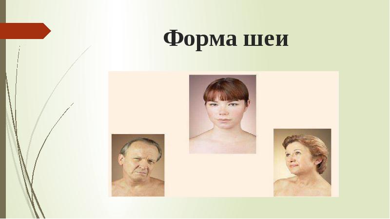 Формы Шеи Фото