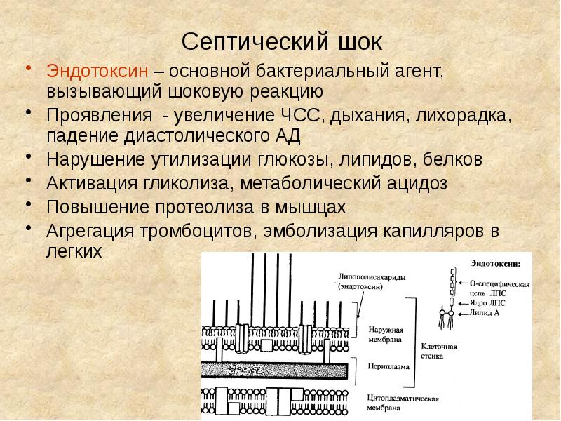 Кислотно основное состояние презентация