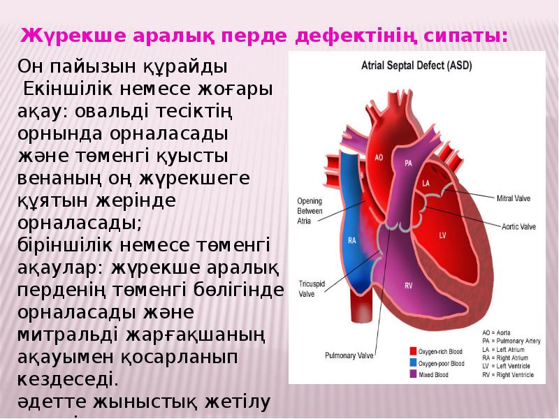 Жүректің туа біткен ақаулары презентация