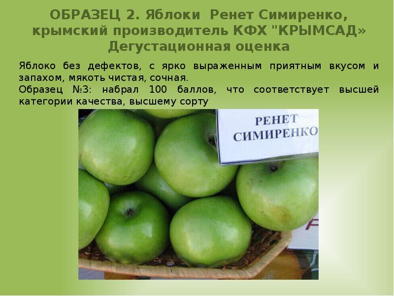 Сорт яблок семеренко фото и описание