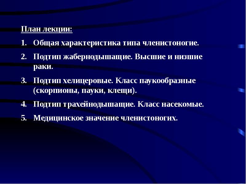 Каковы общие черты строения