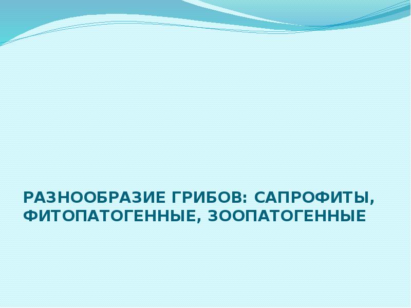 Фитопатогенные грибы презентация