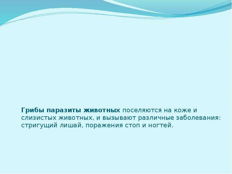 Фитопатогенные грибы презентация