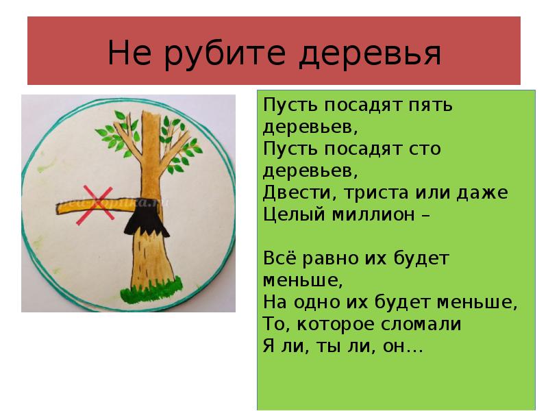 Знак не рубить деревья картинки для детей