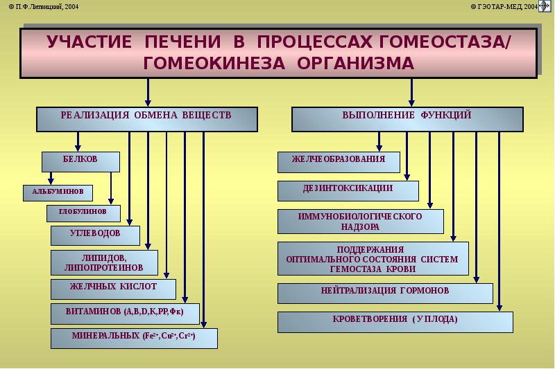 Патофизиология печени презентация