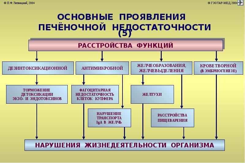 Патофизиология печени презентация