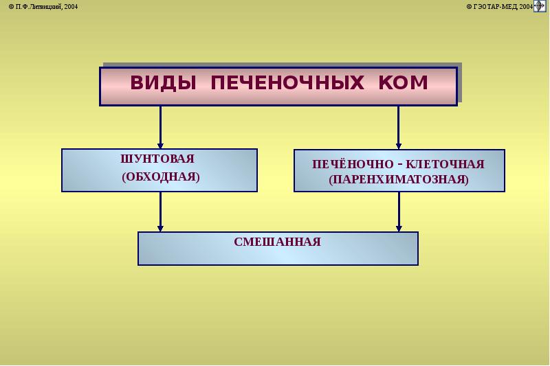 Печень патофизиология презентация