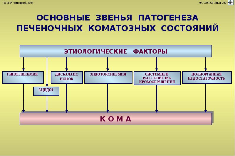 Печеночная недостаточность патофизиология. Факторы патогенеза печеночной комы. Основные факторы патогенеза печеночной комы:. Звенья патогенеза коматозных состояний. Печеночно клеточная кома патогенез.