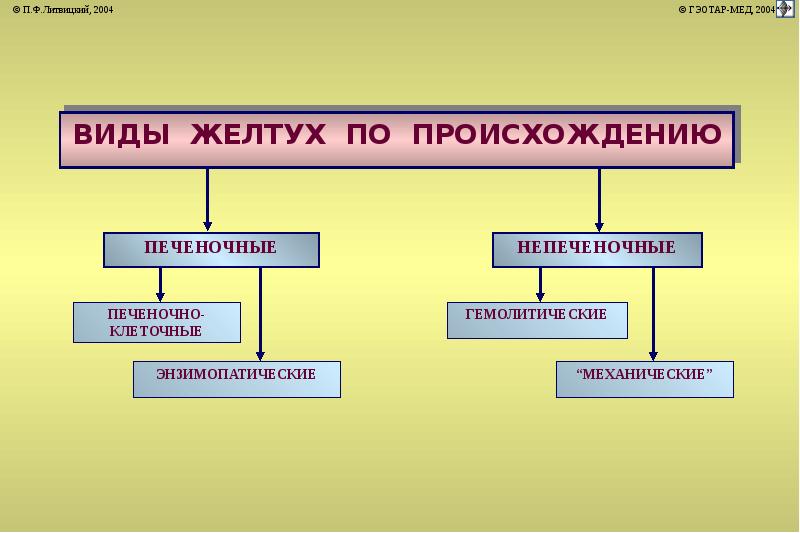 Печень патофизиология презентация