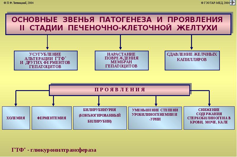 Печеночная кома патофизиология презентация