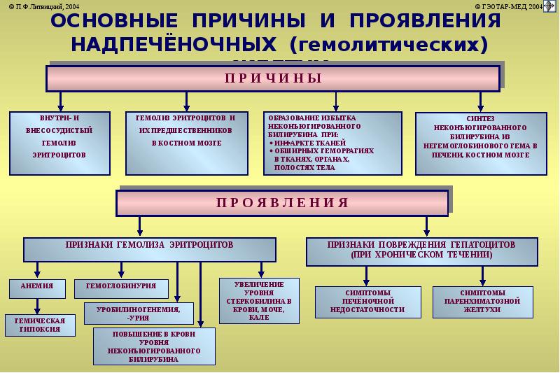 Печень патофизиология презентация