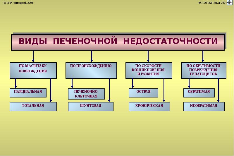 Печень патофизиология презентация