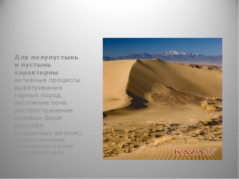 Внутренние воды полупустынь и пустынь. Зона пустынь и полупустынь на территории РФ. Рельеф пустыни и полупустыни. Полупустыни и пустыни природные явления. Пустыня и полупустыня климат.