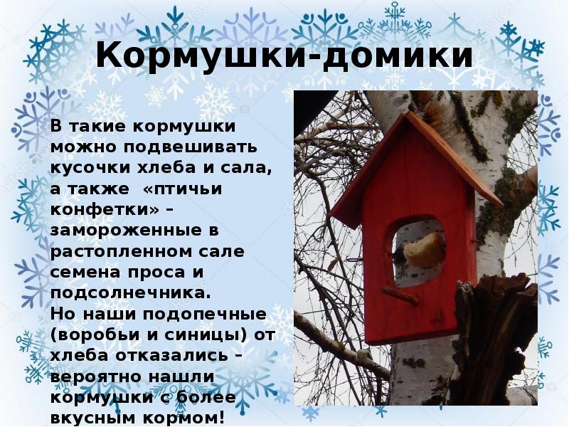 Отчет каждой пичужке кормушка