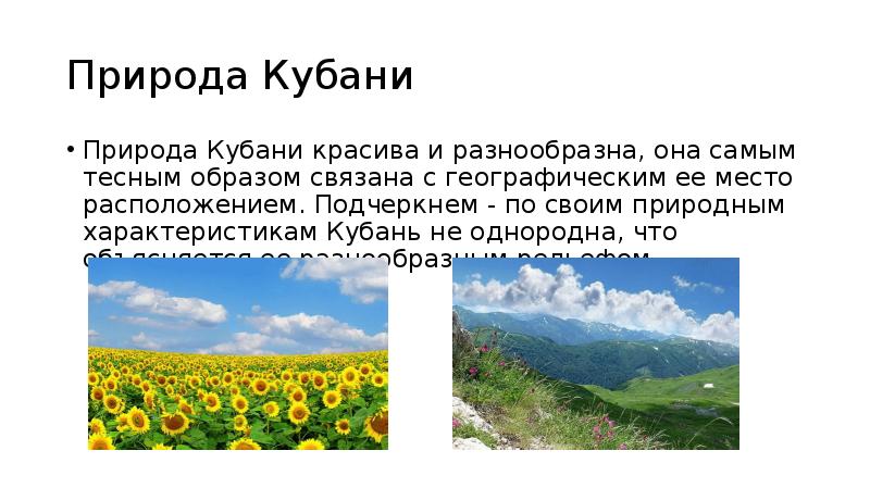 Проект про кубань