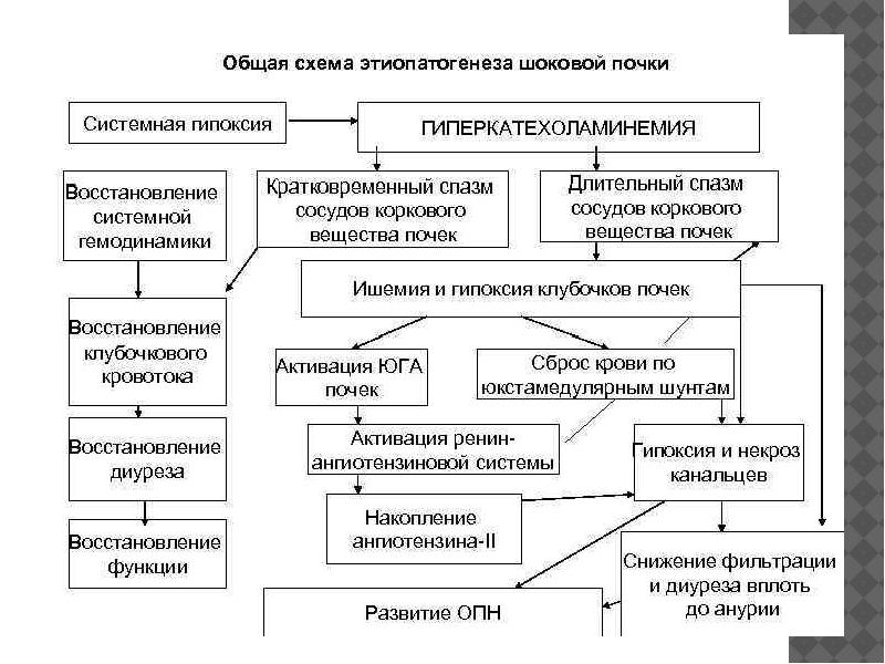 Патология эндокринной системы патофизиология презентация