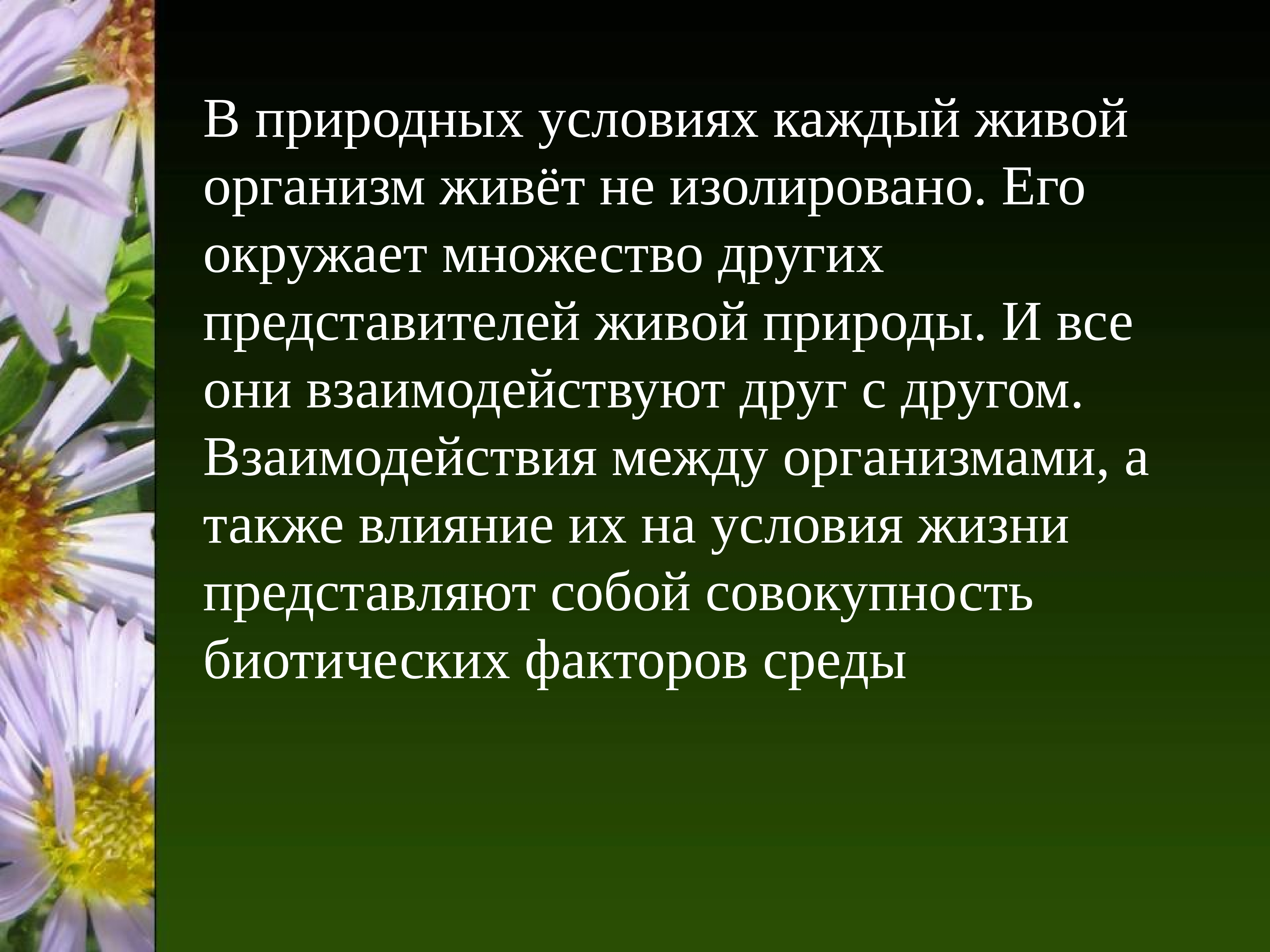 Условие на каждый. Хлорорганические инсектициды механизм действия. Биологическая сказка. Контактные и системные пестициды. Пестициды названия препаратов.