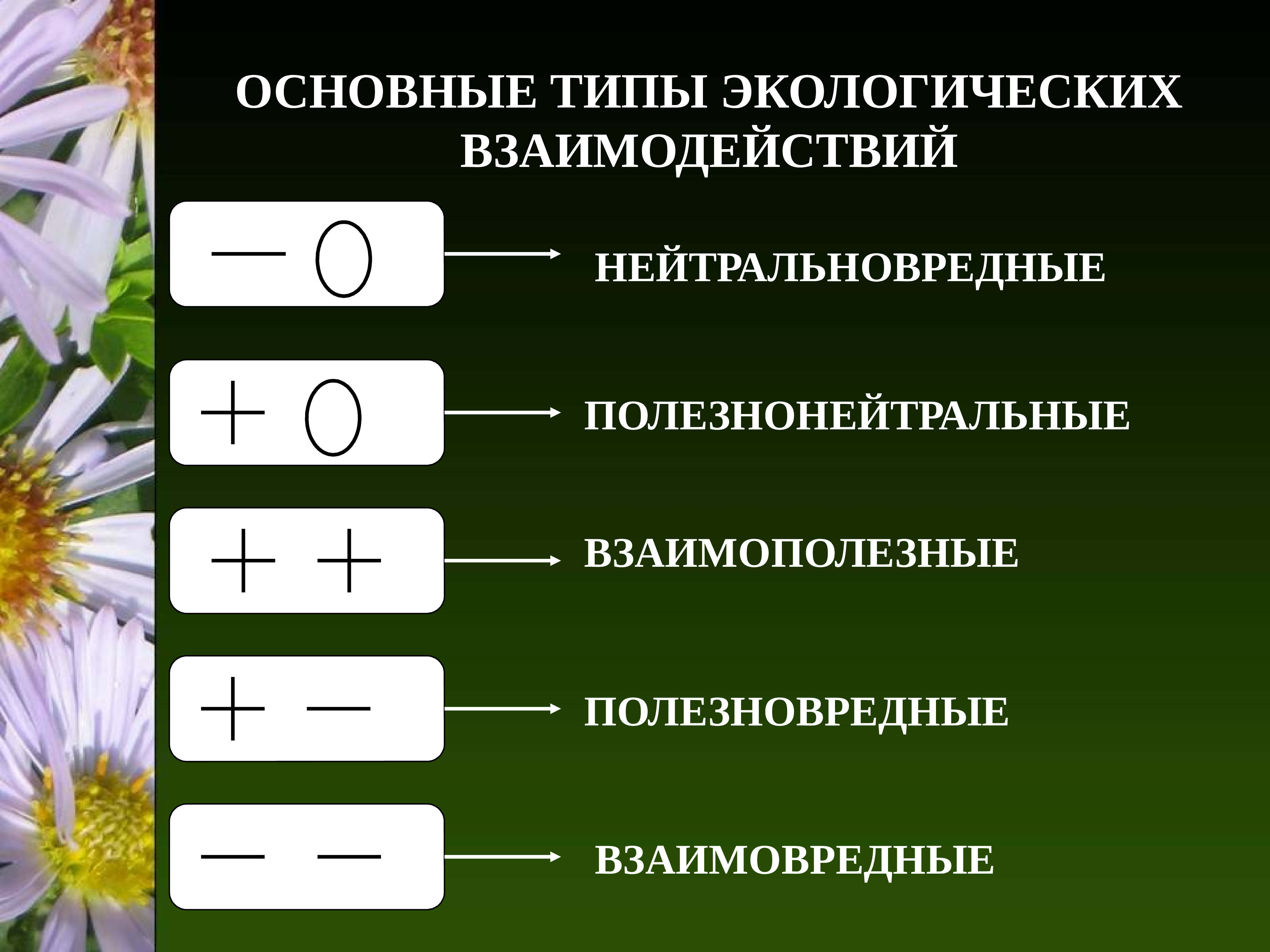 виды групповых взаимодействий фото 107