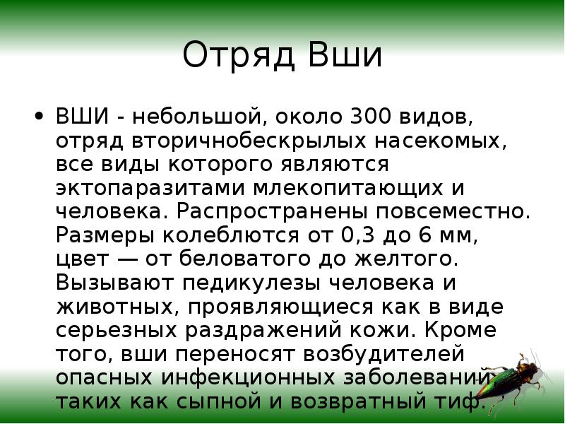 Отряд вши общая характеристика. Отряд вши. Какие виды вшей паразитируют на человеке. Платяная вошь строение. Платяная вошь строение.