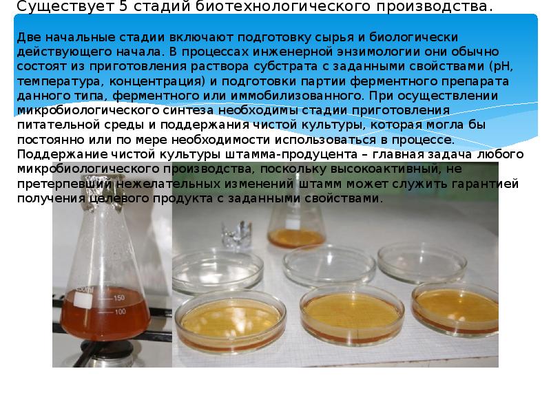 Продукты биотехнологического производства опасные в экологическом плане