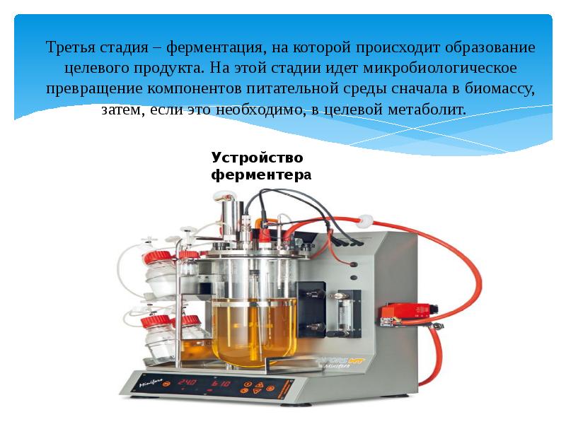 Общая схема биотехнологического производства