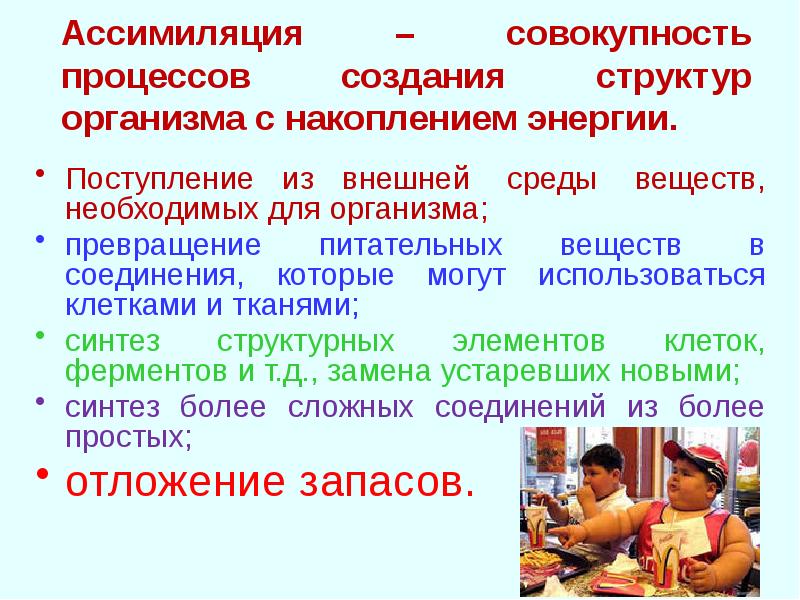 Ассимиляция биология. Ассимиляция питательных веществ. Ассимиляция (социология). Ассимиляция это совокупность процессов. Процессы ассимиляции в организме.