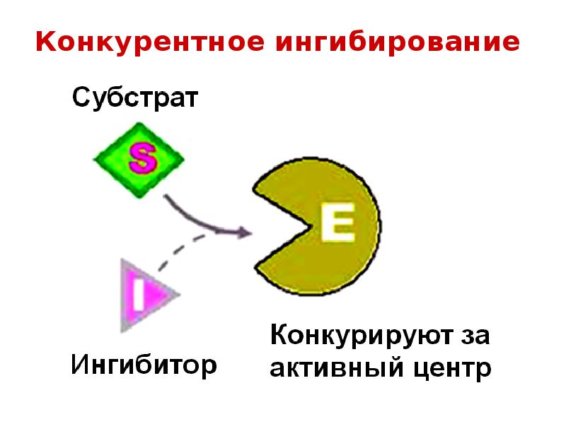 Конкурентное ингибирование ферментов. Конкурентное ингибирование. Субстратное ингибирование примеры. Субстратное ингибирование. Ингибирование субстратом.